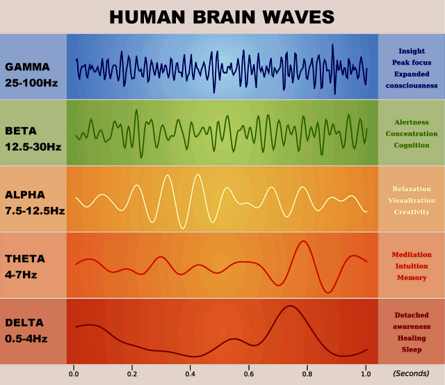 Brain Wave Chart